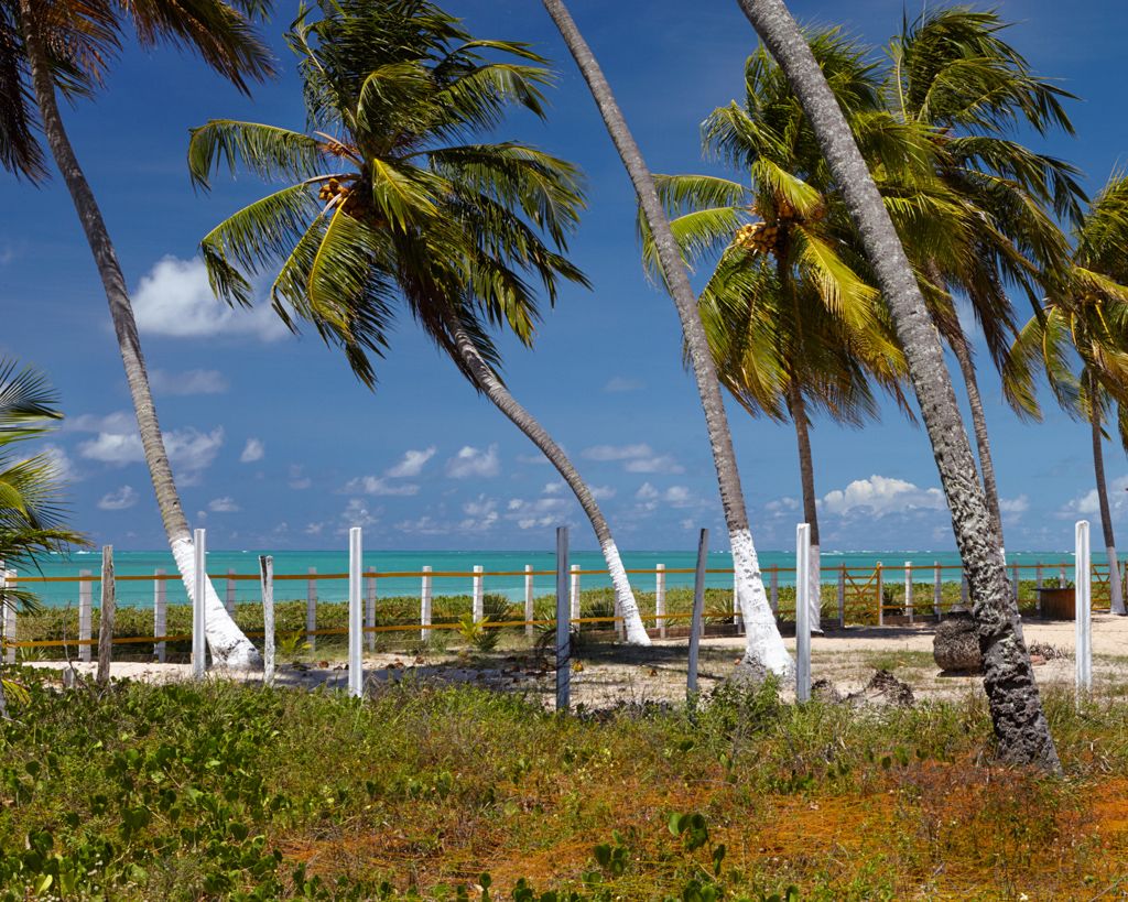 Alagoas, Brazil, São Miguel dos Milagres, Maceió, Alagoas