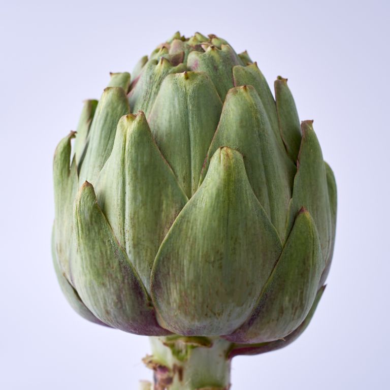 Artichoke 10 slimming foods to eat every day
