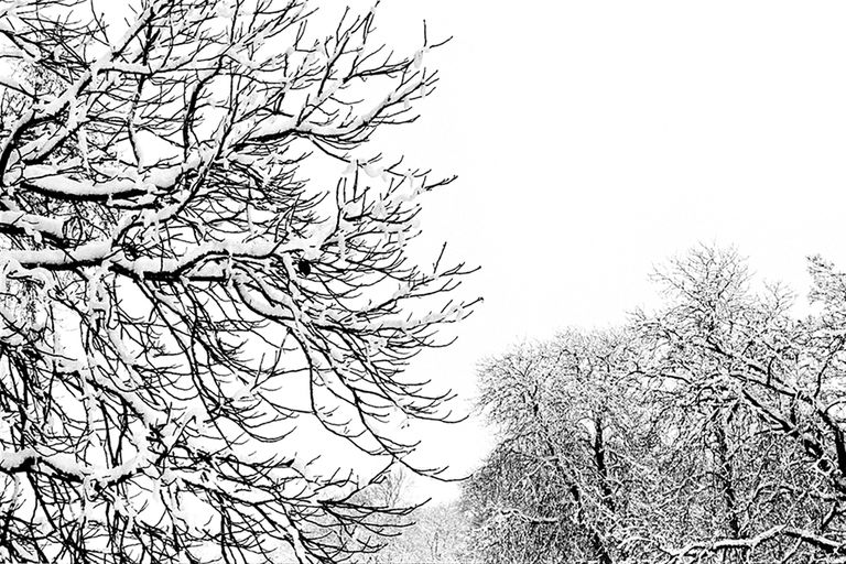 white christmas 2018, beast from the east, snow