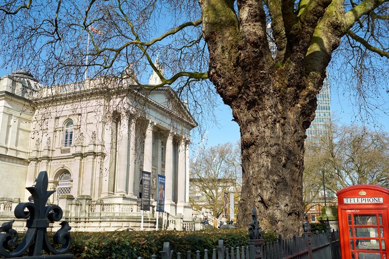 Tate Britain, Photography Exhibitions London February 2019