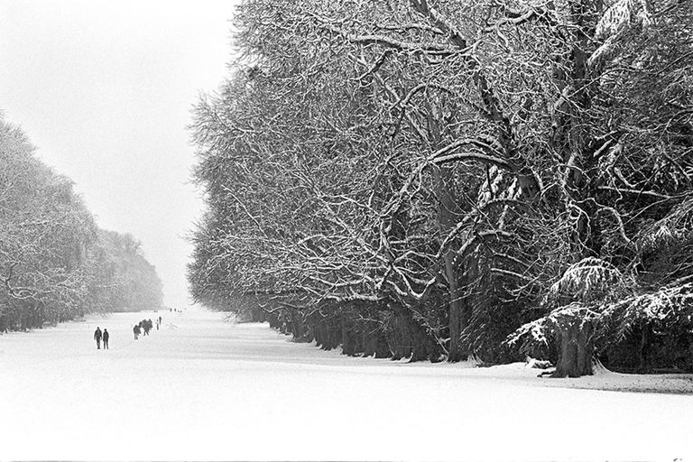 Cotwolds Winter Walks, Cirencester Park